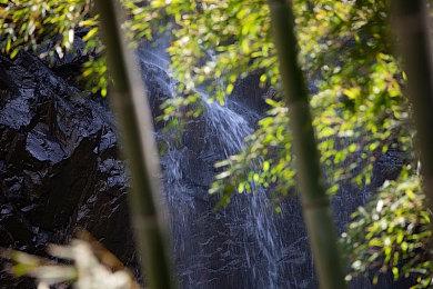 《方块方舟》虎年限定BOSS设计图首曝，史上最强打折季明日开启